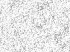 Textures   -   NATURE ELEMENTS   -   VEGETATION   -   Green grass  - Mixed grass with clover texture seamless 18245 - Ambient occlusion
