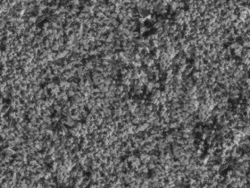 Textures   -   NATURE ELEMENTS   -   VEGETATION   -   Green grass  - Mixed grass with clover texture seamless 18245 - Displacement