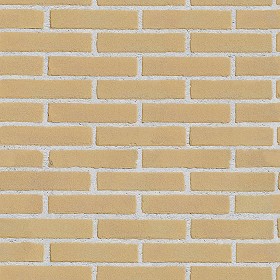 Textures   -   ARCHITECTURE   -   BRICKS   -   Facing Bricks   -  Smooth - Facing smooth bricks texture seamless 00261