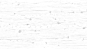 Textures   -   ARCHITECTURE   -   WOOD   -   Raw wood  - Solid hardwood texture seamless 19947 - Ambient occlusion