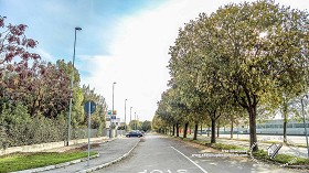 Textures   -   BACKGROUNDS &amp; LANDSCAPES   -  CITY &amp; TOWNS - Landscape with tree lined avenue hdr 20994