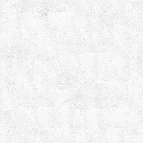 Textures   -   MATERIALS   -   LEATHER  - Leather texture seamless 09706 - Ambient occlusion