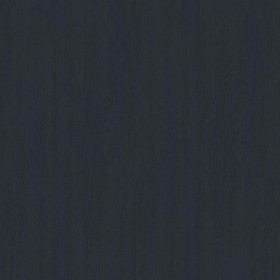 Textures   -   ARCHITECTURE   -   WOOD   -   Fine wood   -   Light wood  - Light wood fine texture seamless 20531 - Specular