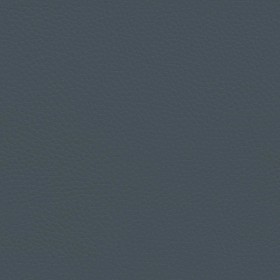 Textures   -   MATERIALS   -   LEATHER  - Leather texture seamless 09599 - Specular