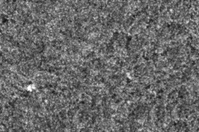 Textures   -   NATURE ELEMENTS   -   VEGETATION   -   Green grass  - Fat grass texture seamless 18844 - Displacement