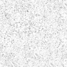 Textures   -   NATURE ELEMENTS   -   VEGETATION   -   Green grass  - Green grass with mushrooms texture seamless 19279 - Ambient occlusion