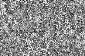 Textures   -   NATURE ELEMENTS   -   VEGETATION   -   Green grass  - Wild grass texture seamless 19525 - Bump