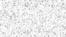 Textures   -   NATURE ELEMENTS   -   GRAVEL &amp; PEBBLES  - Gravel pebbles for rails texture seamless 20792 - Ambient occlusion