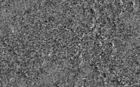 Textures   -   NATURE ELEMENTS   -   VEGETATION   -   Green grass  - Wild green grass texture seamless 20654 - Displacement