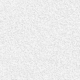 Textures   -   NATURE ELEMENTS   -   VEGETATION   -   Green grass  - Green grass texture seamless 21347 - Ambient occlusion