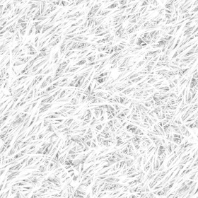 Textures   -   NATURE ELEMENTS   -   VEGETATION   -   Green grass  - Green grass PBR texture seamless 21693 - Ambient occlusion