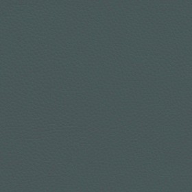 Textures   -   MATERIALS   -   LEATHER  - Leather texture seamless 09602 - Specular