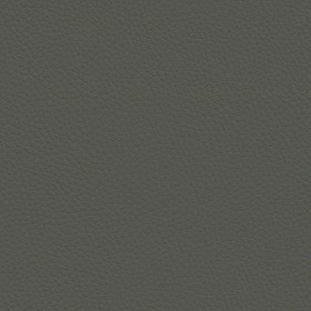 Textures   -   MATERIALS   -   LEATHER  - Leather texture seamless 09604 - Specular