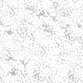 Textures   -   MATERIALS   -   FUR ANIMAL  - Ghepardo faux fake fur animal texture seamless 09569 - Ambient occlusion