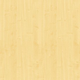 Textures   -   ARCHITECTURE   -   WOOD   -   Fine wood   -  Light wood - Maple light wood fine texture seamless 04313