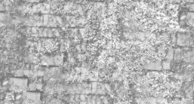 Textures   -   ARCHITECTURE   -   STONES WALLS   -   Stone walls  - Old stone wall with climbing plants texture seamless 20774 - Displacement