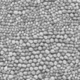 Textures   -   ARCHITECTURE   -   STONES WALLS   -   Stone walls  - Wall of white river stones texture seamless 20831 - Displacement