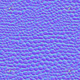 Textures   -   ARCHITECTURE   -   STONES WALLS   -   Stone walls  - Wall of white river stones texture seamless 20831 - Normal
