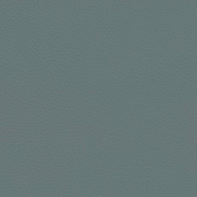 Textures   -   MATERIALS   -   LEATHER  - Leather texture seamless 09610 - Specular