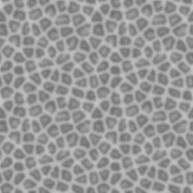 Textures   -   MATERIALS   -   FUR ANIMAL  - Leopard faux fake fur animal texture seamless 09574 - Displacement
