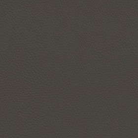 Textures   -   MATERIALS   -   LEATHER  - Leather texture seamless 09612 - Specular