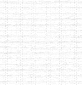 Textures   -   ARCHITECTURE   -   BRICKS   -   Facing Bricks   -   Rustic  - Rustic bricks texture seamless 00200 - Ambient occlusion