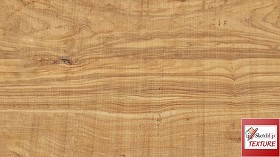Textures   -   ARCHITECTURE   -   WOOD   -  Raw wood - Raw wood PBR texture seamless 21838