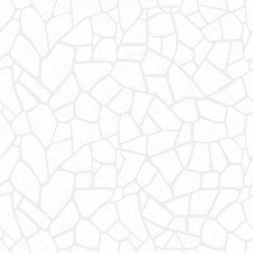 Textures   -   ARCHITECTURE   -   TILES INTERIOR   -   Terrazzo  - Cement terrazzo tiles PBR texture seamless 21871 - Ambient occlusion