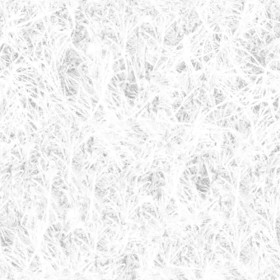 Textures   -   NATURE ELEMENTS   -   VEGETATION   -   Dry grass  - Dry grass texture seamless 18654 - Ambient occlusion
