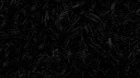 Textures   -   NATURE ELEMENTS   -   VEGETATION   -   Dry grass  - Dry leaves after harvest of corn texture seamless 18655 - Specular