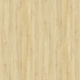 Textures   -   ARCHITECTURE   -   WOOD   -   Fine wood   -  Light wood - Light wood fine texture seamless 04324