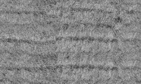 Textures   -   NATURE ELEMENTS   -   VEGETATION   -   Dry grass  - Hay texture seamless 20746 - Displacement