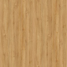 Textures   -   ARCHITECTURE   -   WOOD   -   Fine wood   -  Light wood - Light wood fine texture seamless 04327