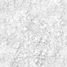 Textures   -   NATURE ELEMENTS   -   VEGETATION   -   Flowery fields  - spring meadow pbr texture-semaless 22190 - Ambient occlusion