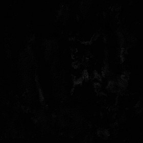 Textures   -   ARCHITECTURE   -   CONCRETE   -   Bare   -   Damaged walls  - Concrete bare damaged texture seamless 01397 - Specular