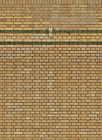 Textures   -   ARCHITECTURE   -   BRICKS   -   Colored Bricks   -  Rustic - Texture colored bricks rustic seamless 00038