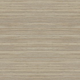 Textures   -   ARCHITECTURE   -   WOOD   -   Fine wood   -  Light wood - Lati light gray wood fine texture seamless 04329