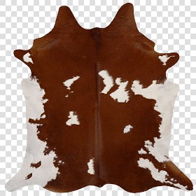 Textures   -   MATERIALS   -   RUGS   -  Cowhides rugs - Cow leather rug texture 20012