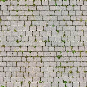 Textures   -   ARCHITECTURE   -   PAVING OUTDOOR   -   Concrete   -  Blocks regular - Paving outdoor concrete regular block texture seamless 05665
