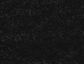 Textures   -   ARCHITECTURE   -   ROOFINGS   -   Thatched roofs  - Thatched roof texture seamless 17350 - Specular