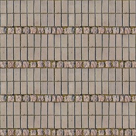 Textures   -   ARCHITECTURE   -   PAVING OUTDOOR   -   Concrete   -  Blocks regular - Paving outdoor concrete regular block texture seamless 05669