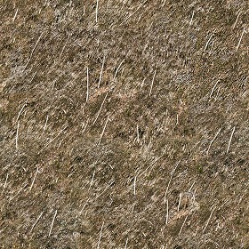 Textures   -   ARCHITECTURE   -   ROOFINGS   -  Thatched roofs - Thatched roof texture seamless 17352