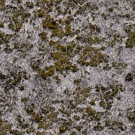 Textures   -   ARCHITECTURE   -   ROOFINGS   -  Thatched roofs - thatched roof texture seamless 21416