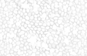 Textures   -   ARCHITECTURE   -   ROADS   -   Paving streets   -   Rounded cobble  - Rounded cobblestone with dead leaves texture seamless 18791 - Ambient occlusion