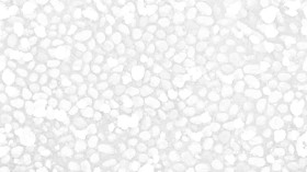 Textures   -   ARCHITECTURE   -   ROADS   -   Paving streets   -   Rounded cobble  - Rounded cobblestone with dead leaves texture seamless 19063 - Ambient occlusion