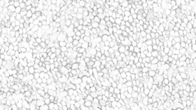 Textures   -   ARCHITECTURE   -   ROADS   -   Paving streets   -   Rounded cobble  - White rounded cobblestone with dead leaves texture seamless 19065 - Ambient occlusion