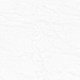 Textures   -   ARCHITECTURE   -   MARBLE SLABS   -   Grey  - Light gray marble slab pbr texture seamless 22413 - Ambient occlusion
