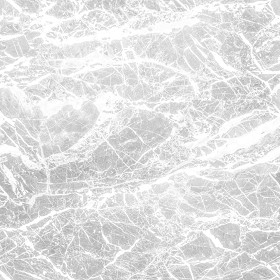 Textures   -   ARCHITECTURE   -   MARBLE SLABS   -   Black  - Slab marble port laurent texture seamless 01915 - Ambient occlusion