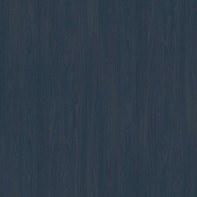 Textures   -   ARCHITECTURE   -   WOOD   -   Fine wood   -   Light wood  - Canadian birch light wood fine texture seamless 04356 - Specular