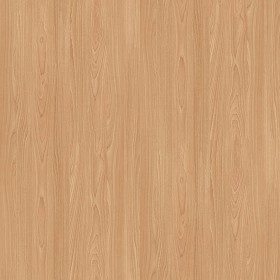 Textures   -   ARCHITECTURE   -   WOOD   -   Fine wood   -  Light wood - Canadian birch light wood fine texture seamless 04356